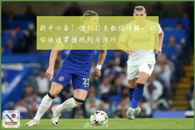 新手必备！德州扑克教程详解，让你快速掌握规则与技巧