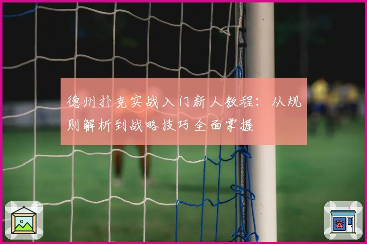 德州扑克实战入门新人教程：从规则解析到战略技巧全面掌握
