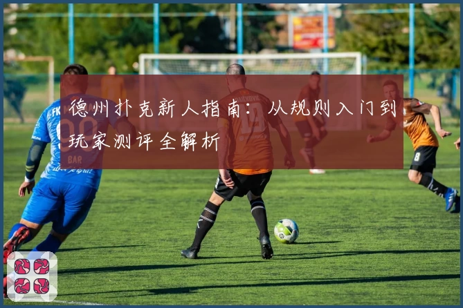 德州扑克新人指南：从规则入门到玩家测评全解析