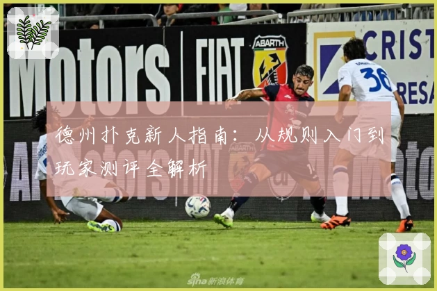 德州扑克新人指南：从规则入门到玩家测评全解析