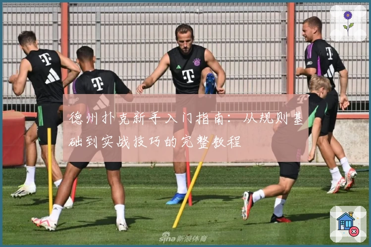 德州扑克新手入门指南：从规则基础到实战技巧的完整教程