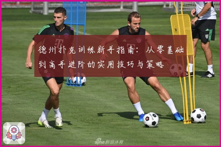 德州扑克训练新手指南：从零基础到高手进阶的实用技巧与策略